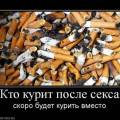 <b>Название: </b>Кто курит после секса скоро будет курить вместо, <b>Добавил:<b> PACmen<br>Размеры: 710x570, 74.5 Кб